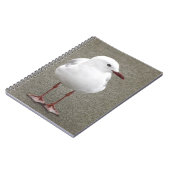 クローズアップSeagull ノートブック (左側)