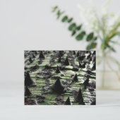 クローズアップSpiky Kapok Tree Trunk : Funchal Madeira ポストカード (スタンド正面)