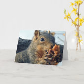 クローズアップYummy カード (黄色い花)