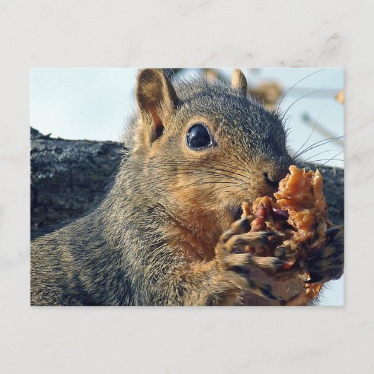 クローズアップYummy ポストカード (正面)