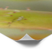 クローズドバラバド ポスター (角)