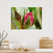 クローズドバラバド ポスター (キッチン)