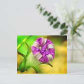 クローズ ポストカード (スタンド正面)