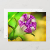 クローズ ポストカード (正面/裏面)