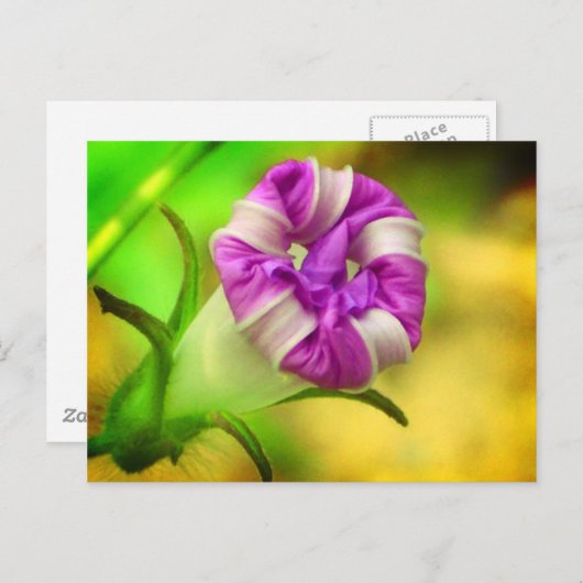 クローズ ポストカード (正面/裏面)