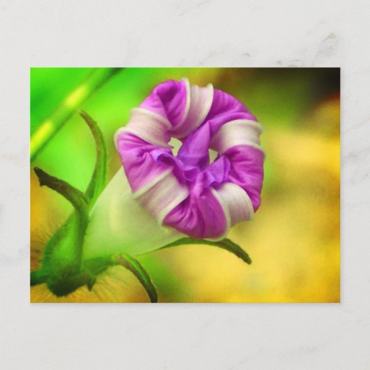 クローズ ポストカード (正面)