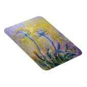 クロードモネ – アガパンサス マグネット (右側)