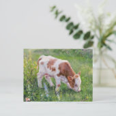 クロード・モネスタイルの花畑にいるかわいい赤ちゃん牛 ポストカード (スタンド正面)