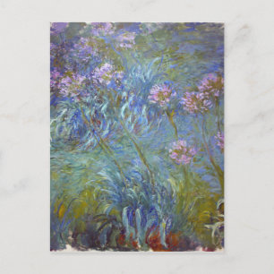 クロード・モネ-アガパンサス属のクラシックによっては絵画が開花します ポストカード