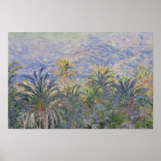 クロード・モネ – ボルディゲーラのヤシの木 ポスター (正面)