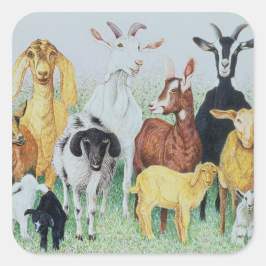 クローバーで スクエアシール (正面)