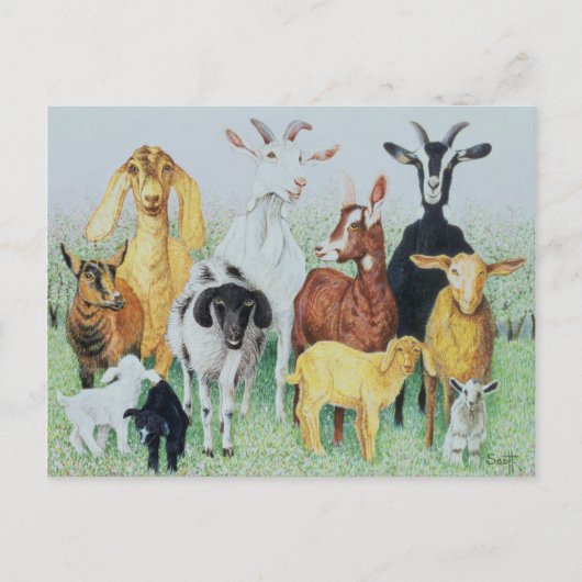 クローバーで ポストカード (正面)