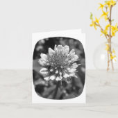 クローバーのメッセージカード カード (黄色い花)