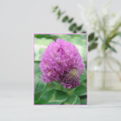 クローバーアート ポストカード (スタンド正面)