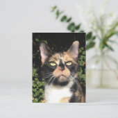 クローバーザカリコ ポストカード (スタンド正面)