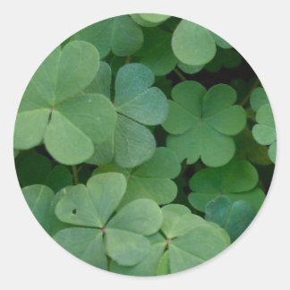 クローバーステッカー ラウンドシール