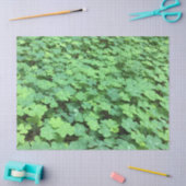 クローバーティッシュペーパー 薄葉紙 (クラフト)