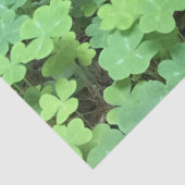 クローバーティッシュペーパー 薄葉紙 (詳細)