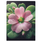 クローバーフローラピンクとグリーンオキザリス クリップボード (裏面)