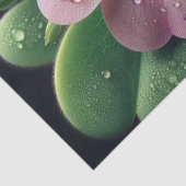 クローバーフローラピンクとグリーンオキザリス 薄葉紙 (詳細)