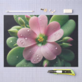 クローバーフローラピンクとグリーンオキザリス 薄葉紙 (クラフト)