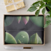 クローバーフローラピンクとグリーンオキザリス 薄葉紙 (ギフト)