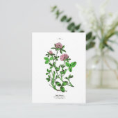 クローバーヴィンテージ植物プリント ポストカード (スタンド正面)