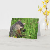 クローバー食べのグラウンドホッグのカード カード (黄色い花)