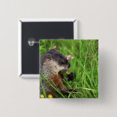 クローバー食べズグラウンドホッグ 缶バッジ (正面&裏面)