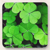 クローバー コースター (正面)