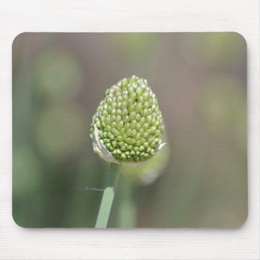 クローバー マウスパッド (正面)