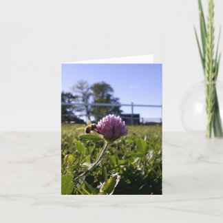 クローバーNotecardの蜂 カード