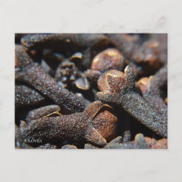 クローブハーブの詳細マクロビュー ポストカード