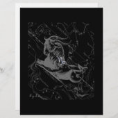 クロームのような山羊座〔占星術の〕十二宮図Hevelius 1690 (正面/裏面)