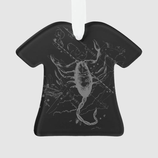 クロームのような蠍座〔占星術の〕十二宮図Hevelius 1690 オーナメント (裏面)