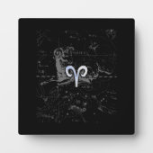 クロームスタイルアリ〔占星術の〕十二宮図サインオンヘベリウス フォトプラーク (正面)