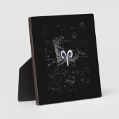 クロームスタイルアリ〔占星術の〕十二宮図サインオンヘベリウス フォトプラーク (正面)