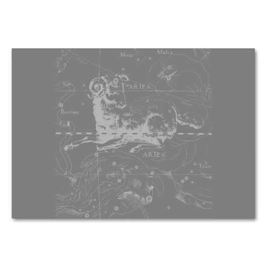 クロームライクアリー〔占星術の〕十二宮図サインヴィンテージヘベリウス テーブルナンバー (裏面)