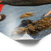 クローム付きブラックオイスターキャッチャー フォトプリント (角)