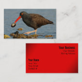 クローム付きブラックオイスターキャッチャー 名刺 (正面/裏面)