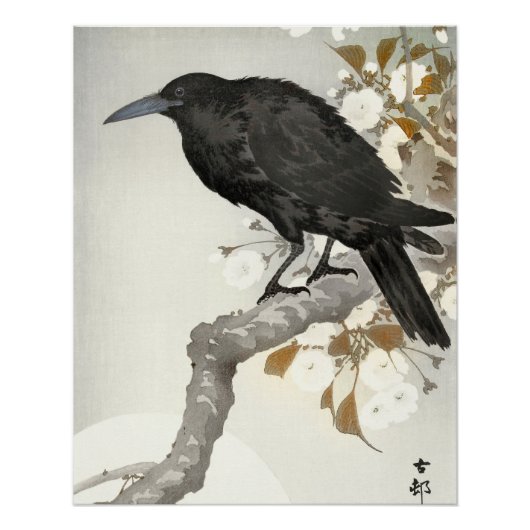 クロ コソン 日本 鳥 クロ ポスター (正面)