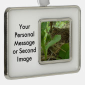 クワの最近造られたしかし空の鳥の巣 シルバープレートフレームオーナメント (右)