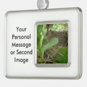 クワの最近造られたしかし空の鳥の巣 シルバープレートフレームオーナメント (左)