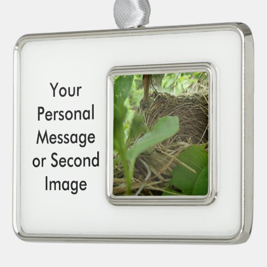 クワの最近造られたしかし空の鳥の巣 シルバープレートフレームオーナメント (左)