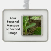 クワの最近造られたしかし空の鳥の巣 シルバープレートフレームオーナメント (正面)