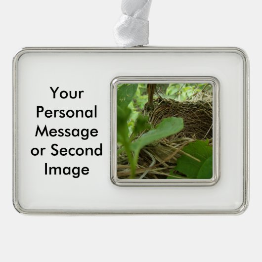 クワの最近造られたしかし空の鳥の巣 シルバープレートフレームオーナメント (正面)