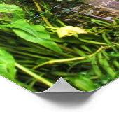 クワイエットマンドアプリント ポスター (角)