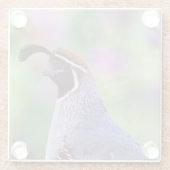 クワカラフルイル ガラスコースター (裏面)