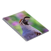 クワカラフルイル ノートブック (右側)