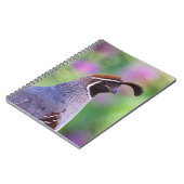 クワカラフルイル ノートブック (左側)